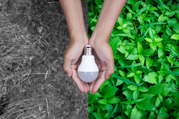 alternative, background, blue, bright, bulb, change, choice, close, closeup, compare, concept,...