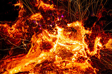 Fire in a bonfire close-up. Sparks from coal. Heat. Inferno. Macro photo.