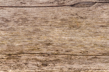 The texture of acacia wood top view