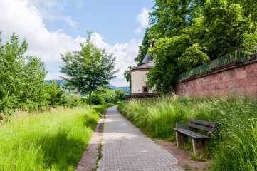 Trier, Mosel, Moselkran, Landkran, Fluss, Moselufer, Uferweg, Radtour, Spazierweg, Römerbrücke, Rheinland-Pfalz, Altstadt, Stadt, Sommer, Deutschland