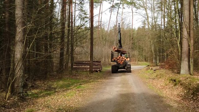 Forwarder unloading felled logs onto a pile of wood on the roadside. Forestry vehicle unpacking wood with a crane from the trailer on the side of a forest pathway.