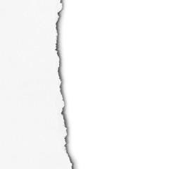 Old ripped paper isolated on white background with copy space for text