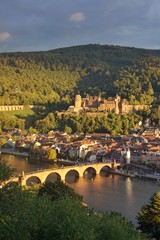 Alte Br&uuml;cke in Heidelberg 