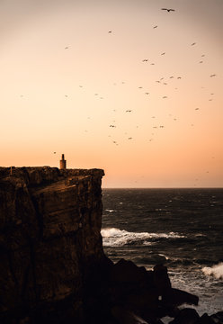 Sonnenuntergang in Peniche in Portugal auf Landzunge der Himmel in orange getaucht und voller V&ouml;gel und M&ouml;wen als Silhouetten
