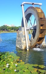Water Wheel Green Point Urban Park Cape Town