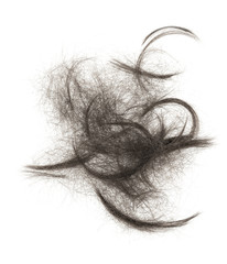 Obraz premium Hair bundle isolated on white background. tuft hair close-up