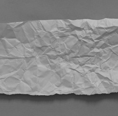 Obraz premium pieces of torn paper texture background, copy space for text.