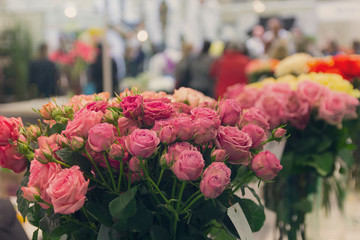 Beautiful roses on sale in the flower shop