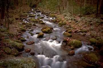 Smoky Mountain Stream along Rolling Fork Driving Tour