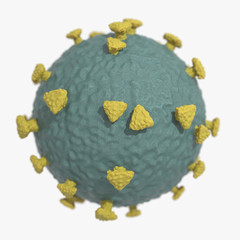 Coronavirus COVID-19 3d Model