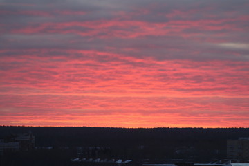 Fototapeta premium Bright scarlet sunset or sunrise over the horizon. Pink clouds illuminated by the sun over the horizon
