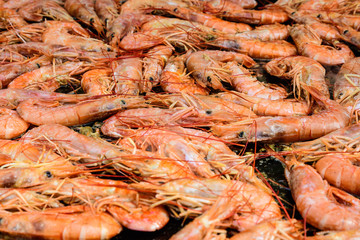 Close up of large portion of cooked shrimps with tomato sauce in a large pan at a street food festival, ready to eat healthy seafood, beautiful orange monochrome outdoor background