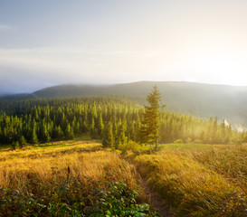 green mountain valley scene at the sunset