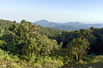 Fototapeta na wymiar Scenic View at Doi Inthanon Peak, Chiang Mai, Thailand, Asia
