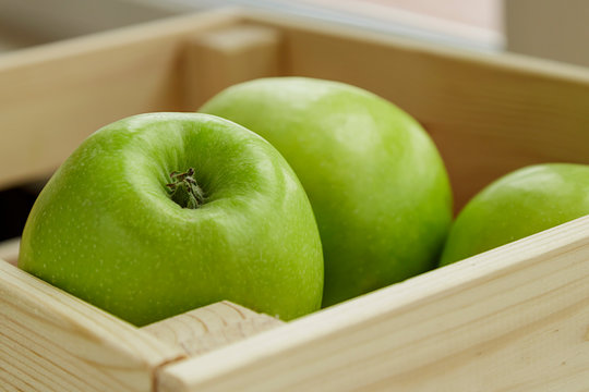 Sprouted Green Slate With A Fork On A Green Background