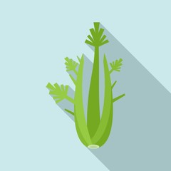 Detox celery icon. Flat illustration of detox celery vector icon for web design