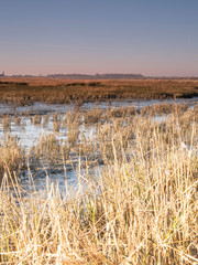 Aerial view of horizon over sea, with grass in the foreground, national park and Unesco World heritage area Waddensea in Province of Friesland, Netherlands