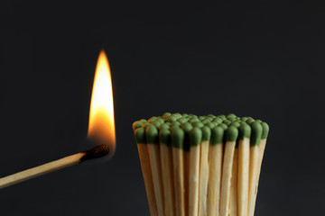 Burning match near unlit ones on dark background, closeup