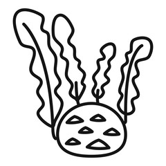 Root cabbage icon. Outline root cabbage vector icon for web design isolated on white background