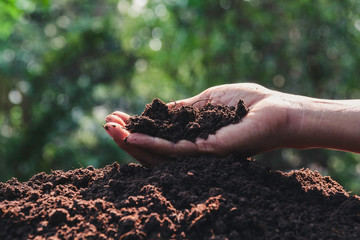Hand holding soil in the hands for planting with copy space for insert text. - obrazy, fototapety, plakaty