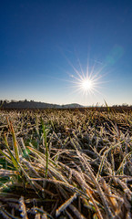 Obraz premium Acker frischer Frühlingsmorgen Bilderbuchwetter Sonnenaufgangnaufgang