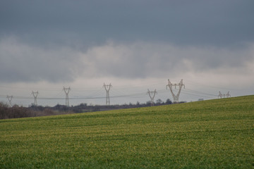 Green grass meadow, agricultural field, cloudy weather, electricity pylons in the back, natural background