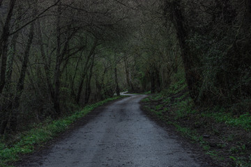 country road