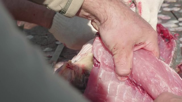 Hands of white man cutting a wild carp on table with scale and blood near river. Close up view. Men's leisure and hobby