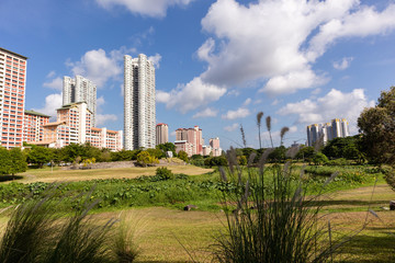 Fototapeta na wymiar Residential area seen from the open field of a neighborhood park
