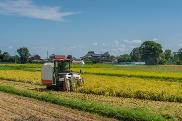 Farmer in combine harvester harvesting crop from the field
