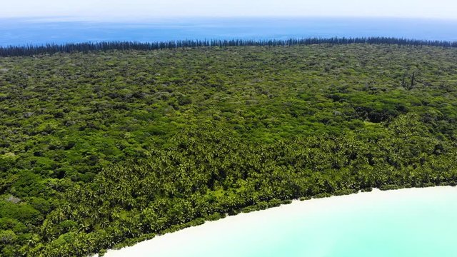 The bay of Upi in New Caledonia with the typical boats of the Kanak people. Isle of Pines.