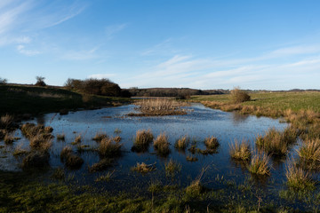 Little pond