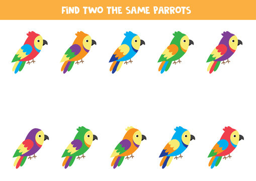 Find two identical colorful parrots. Educational game for kids.