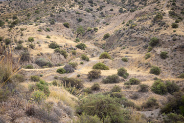 a semi-arid steppe in the Sierra de los Filabres mountain range next to Alhabia, province of Almeria, Andalusia, Spain