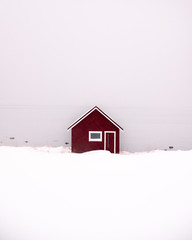Domek © Witold