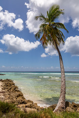 A Barbados Beach View