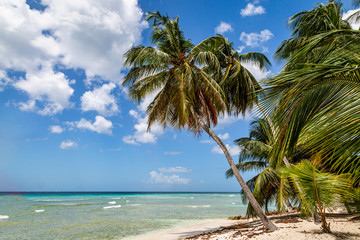 Looking along an idyllic Barbados beach