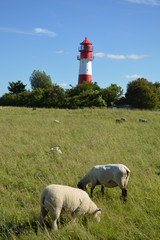 Leuchtturm Falsh&ouml;ft Ostsee