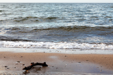 Strandgut in der Brandungszone