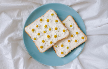 Spring breakfast toast bread sandwich with chamomile flowers in a blue plate