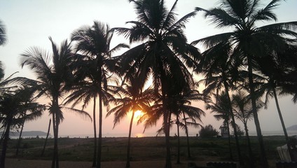 Goa