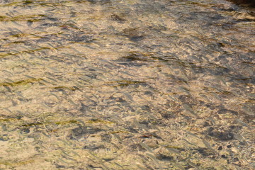 f noronha