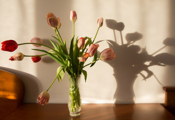 bouquet of spring tulips in a vase