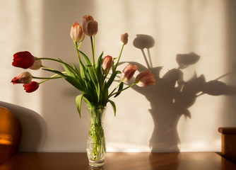 bouquet of spring tulips in a vase