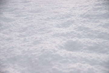 Texture of the white snow