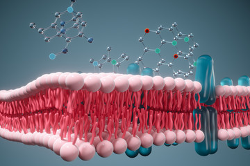 Cell membrane and biology, biological concept, 3d rendering.