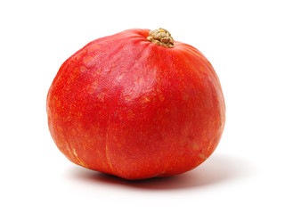 Orange pumpkin on white background 