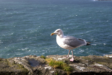 Slea Head Drive Dingle