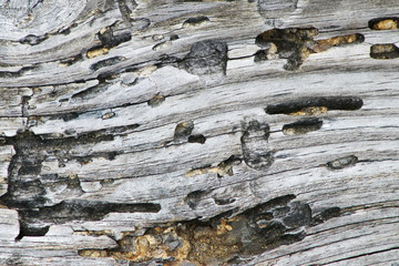 weathered wood board