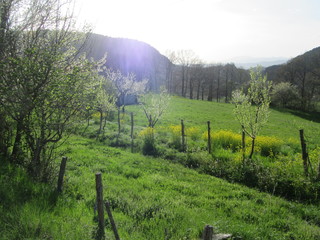 molise